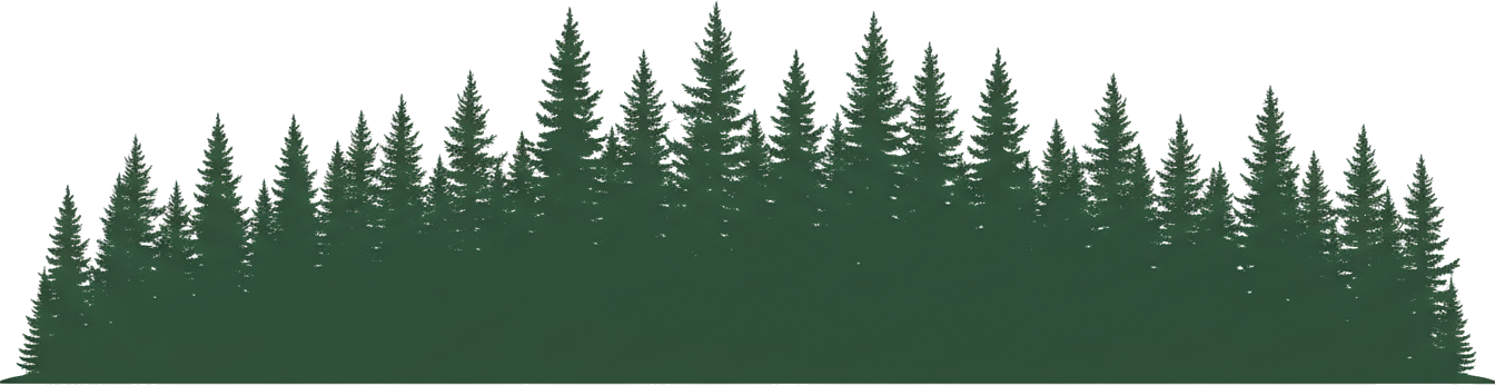 Ilustración decorativa de bosque frondoso con árboles verdes