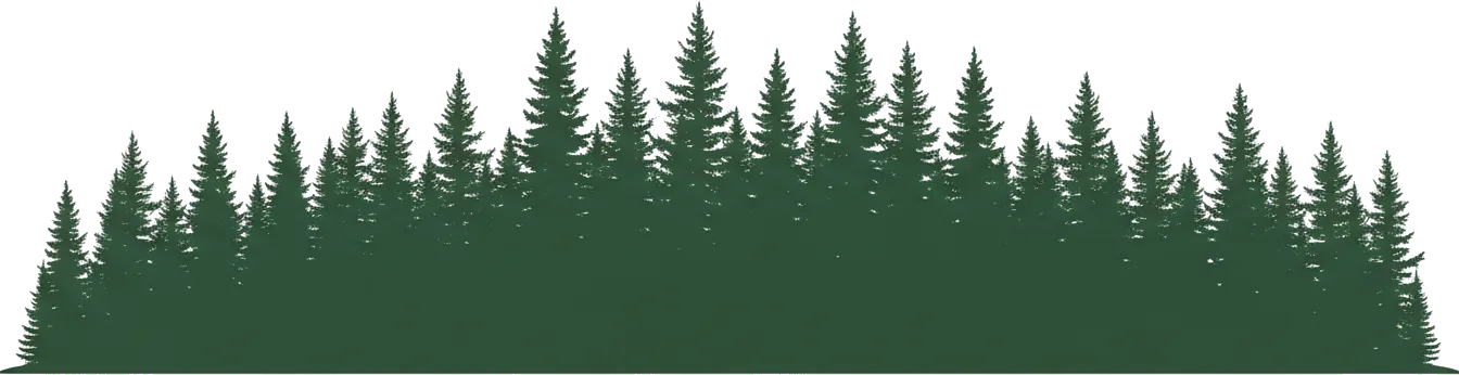 Ilustración decorativa de bosque frondoso con árboles verdes